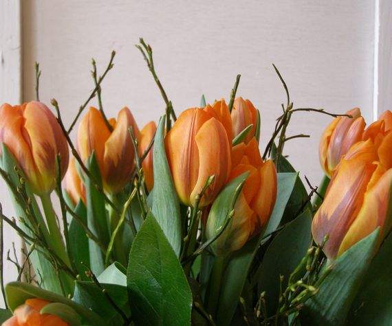 Tulpen